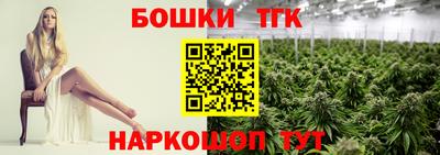 СК Гусь-Хрустальный