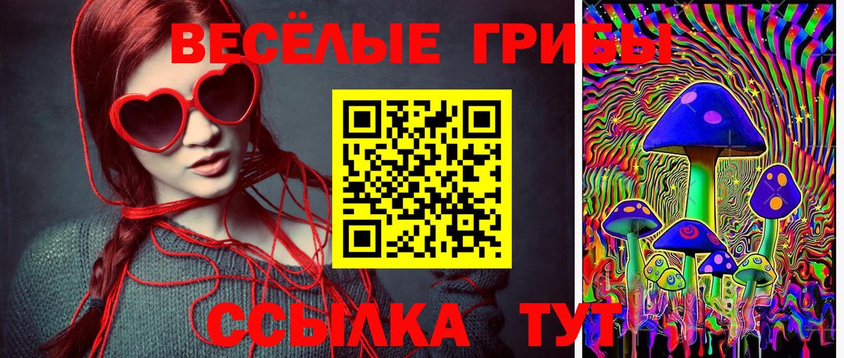 Псилоцибиновые грибы мицелий  Псилоцибиновые грибы мухоморы  Вход с VPN  Курганинск 